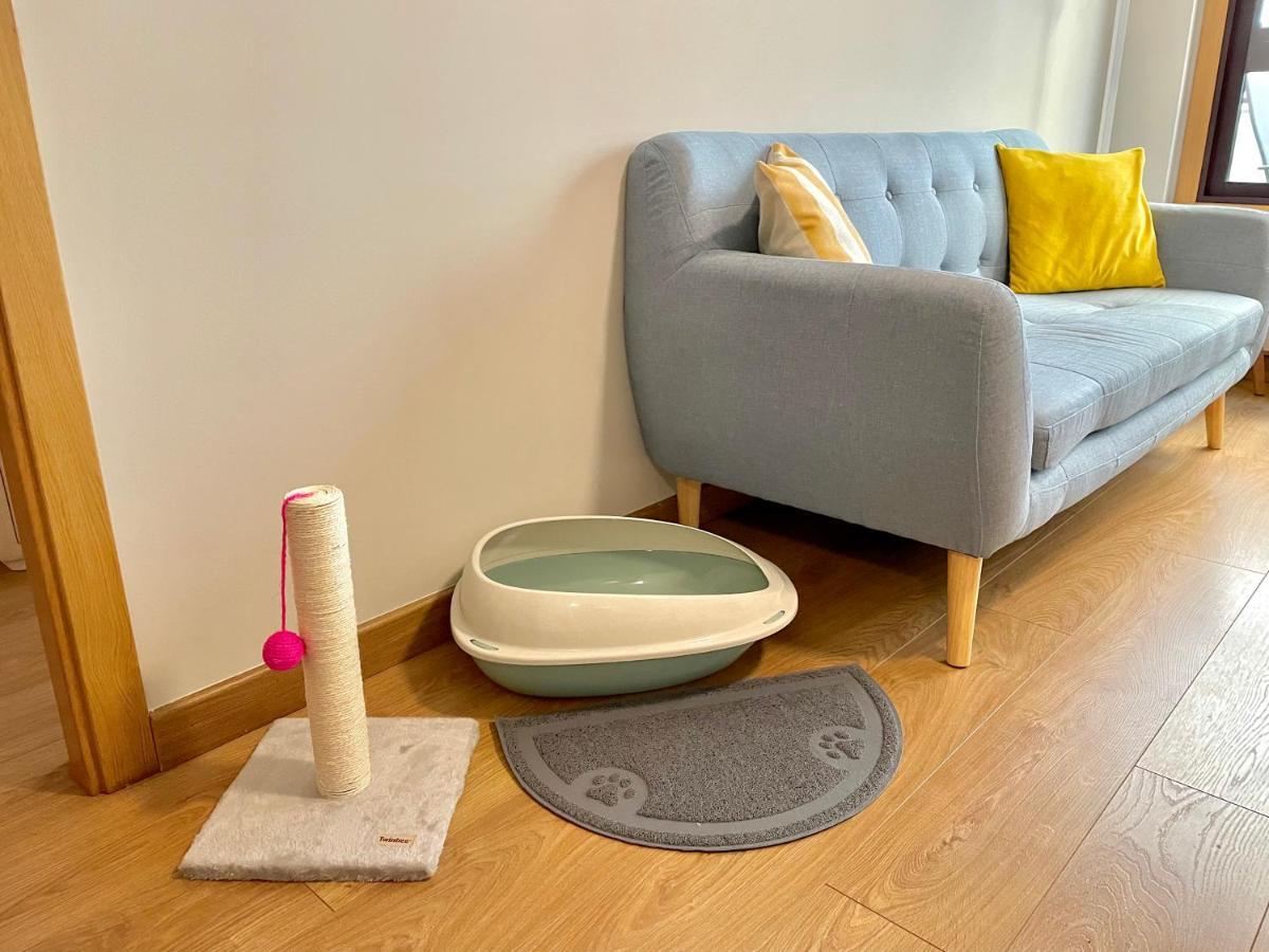 Estudio Centrico 1 Con Terraza Y Parking Privado Apartment